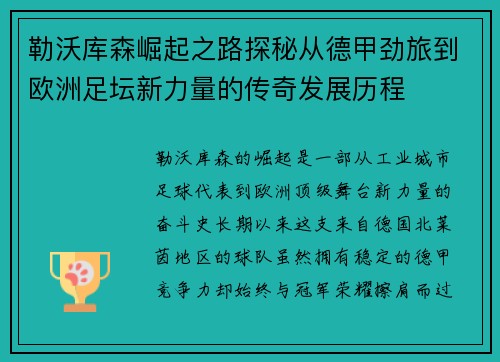 勒沃库森崛起之路探秘从德甲劲旅到欧洲足坛新力量的传奇发展历程