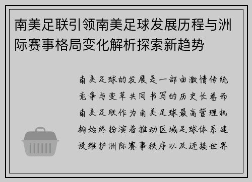 南美足联引领南美足球发展历程与洲际赛事格局变化解析探索新趋势